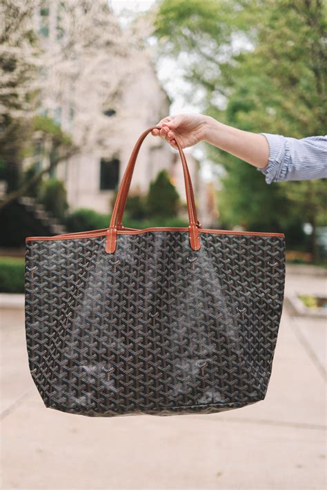 louis vuitton goyard bag